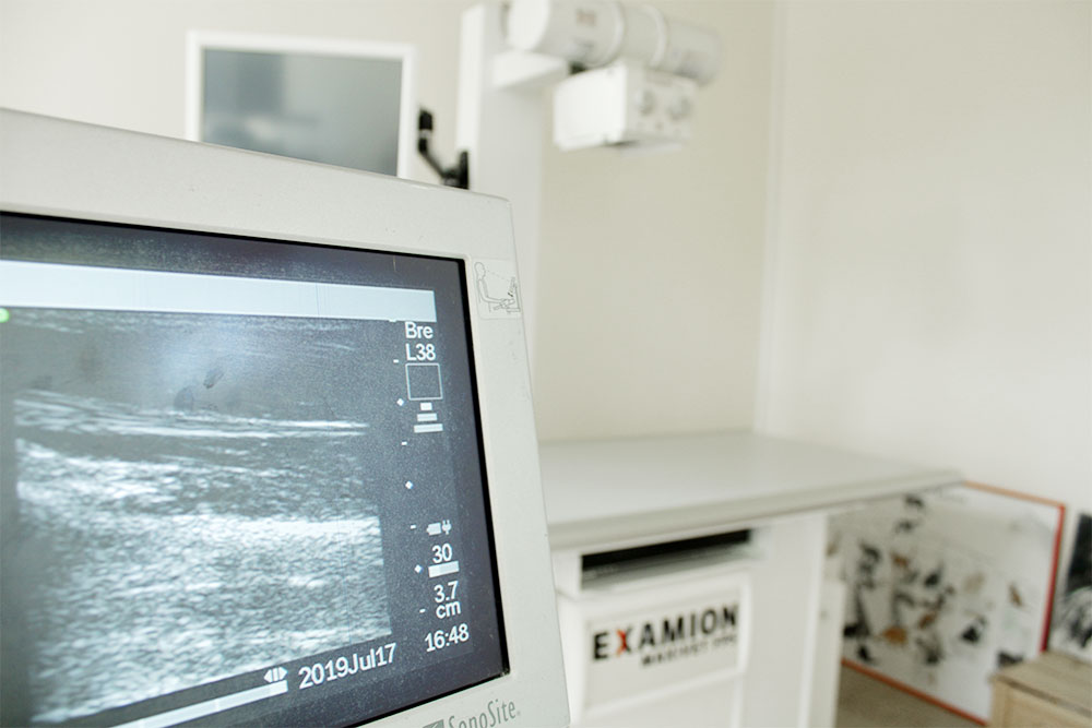Dieses direkt digitale Röntgengerät hat den Vorteil, dass die Strahlenbelastung für den Patienten und die Mitarbeiter deutlich geringer ausfällt und sofort hochbrillante Bilder zur Verfügung stehen, die direkt am Befundungsmonitor bearbeitet, vergrößert oder vermessen werden können.